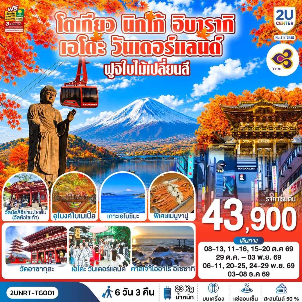 ทัวร์ญี่ปุ่น โตเกียว นิกโก้ เอโดะ วันเดอร์แลนด์ ฟูจิเปลี่ยนสี 6วัน 3คืน (TG)